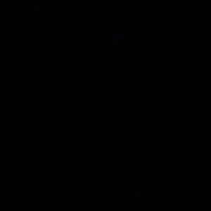 Meet your Posher, Sabinaya👑